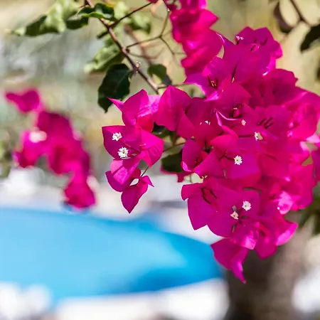 Vila Balaia - Luxury Boutique Villas *
